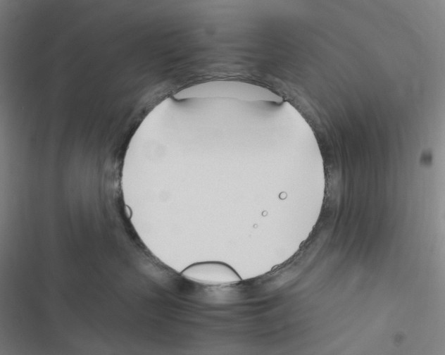 X0000116680383201001251305