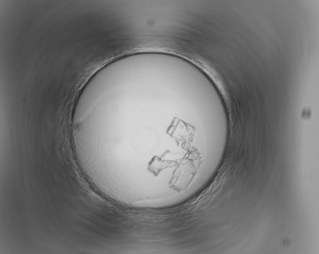 X0000116680385201001251304