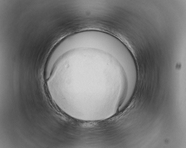 X0000116680386201001251304