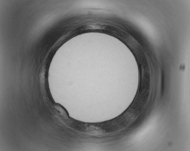 X0000116680387201001251304