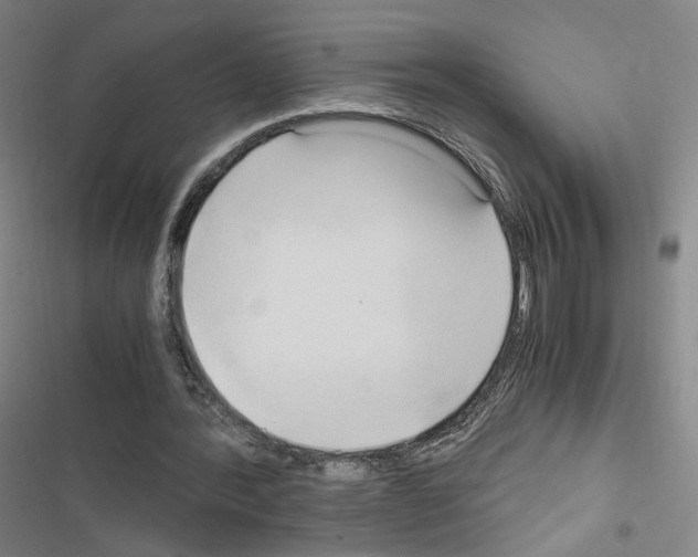 X0000116680388201001251304