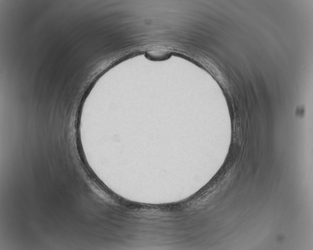 X0000116680389201001251304