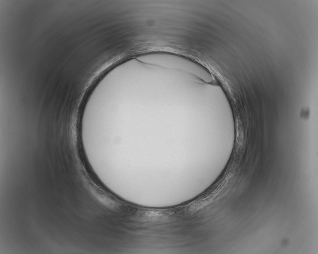 X0000116680390201001251304