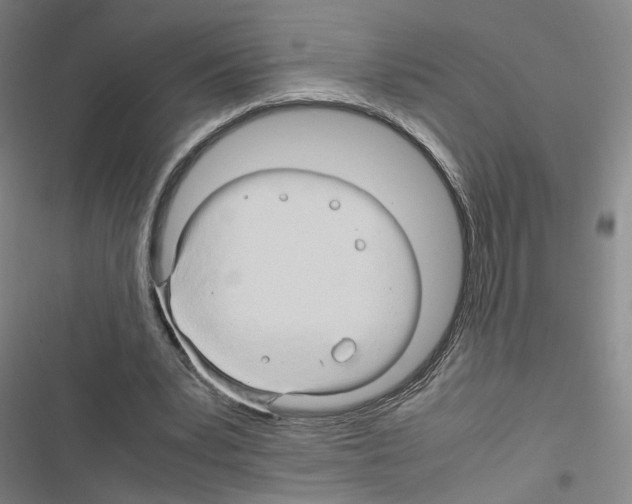 X0000116680391201001251304