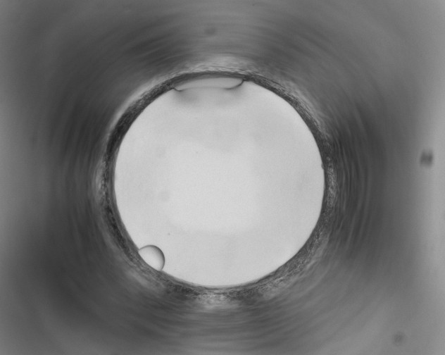 X0000116680392201001251304