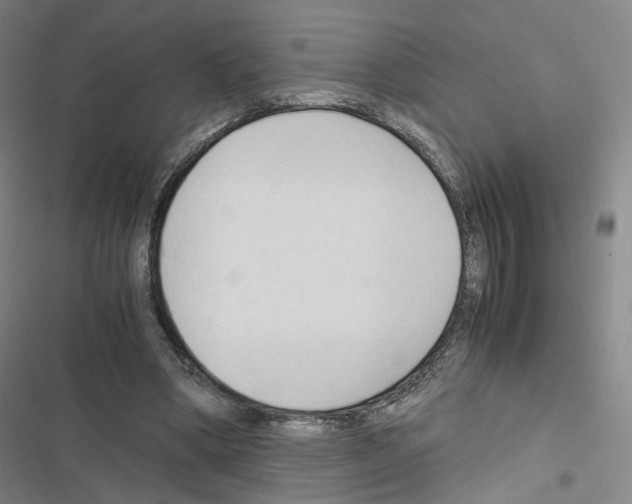 X0000116680394201001251304