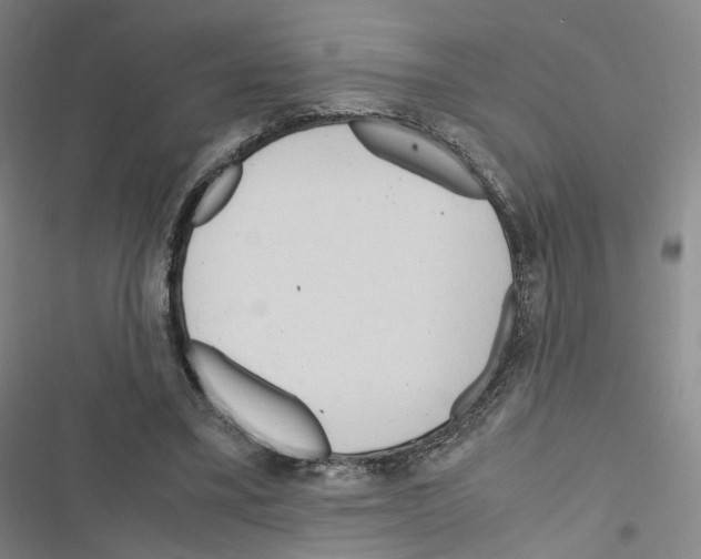 X0000116680395201001251304