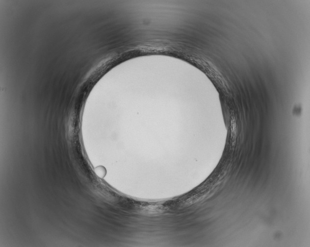 X0000116680396201001251304