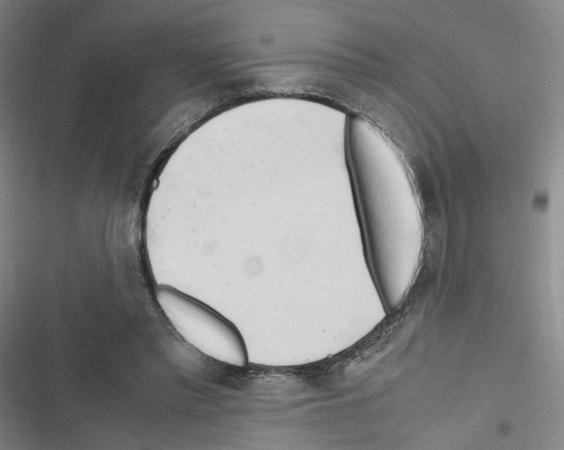 X0000116680397201001251304