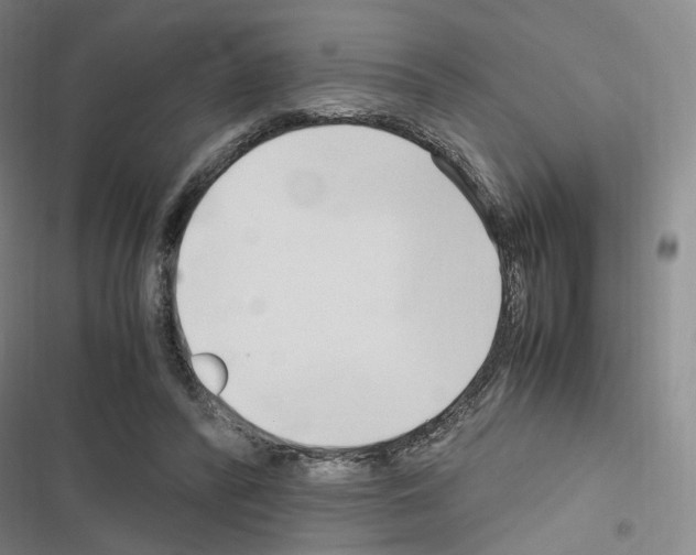 X0000116680400201001251304