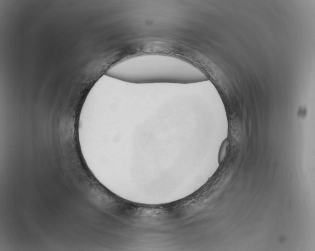 X0000116680401201001251304