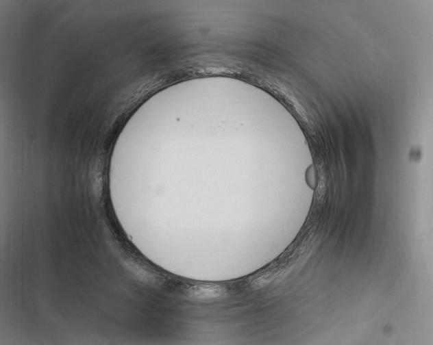 X0000116680402201001251304