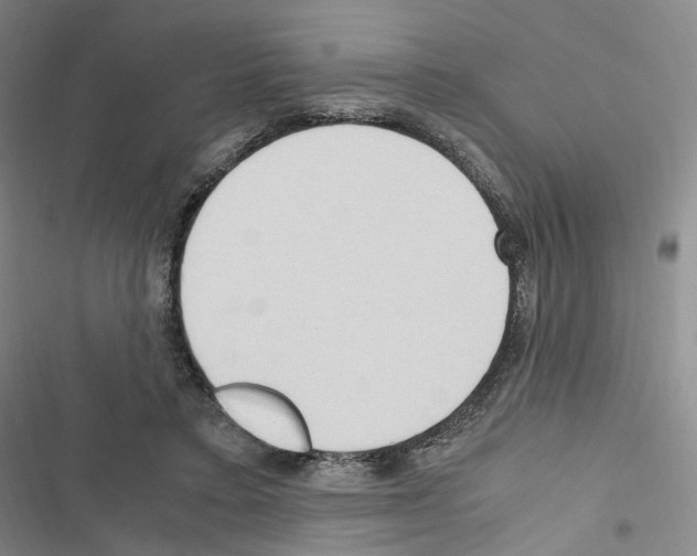 X0000116680403201001251304