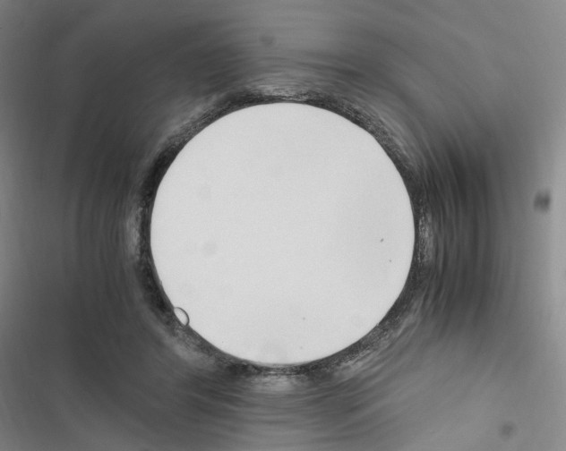 X0000116680404201001251304