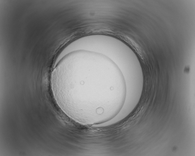 X0000116680405201001251304