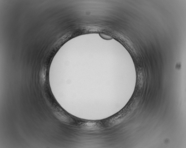 X0000116680406201001251304