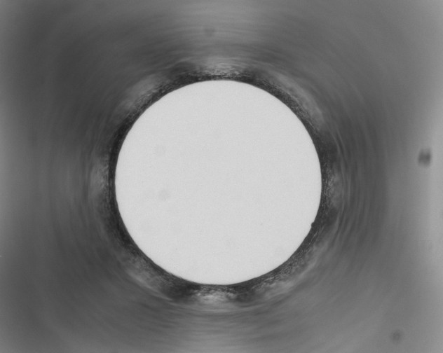 X0000116680407201001251304