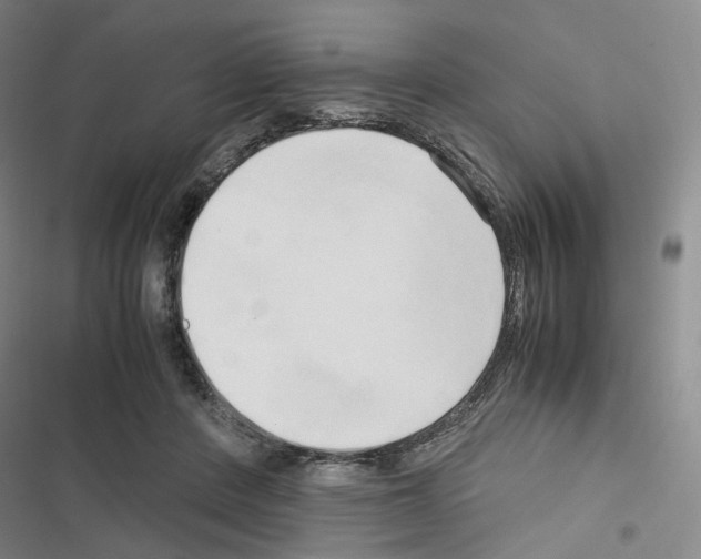 X0000116680408201001251304