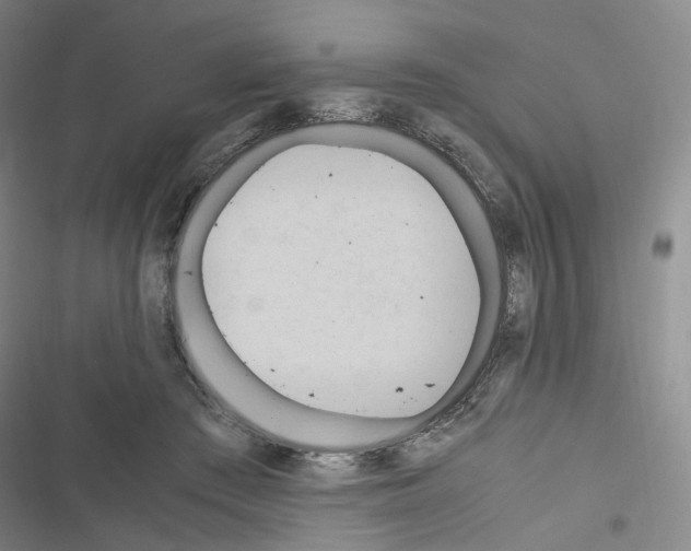 X0000116680409201001251304