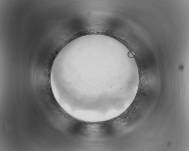 X0000116680411201001251304