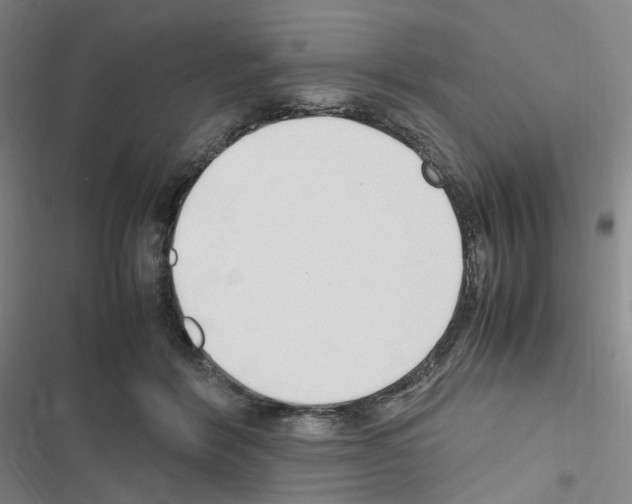 X0000116680412201001251304