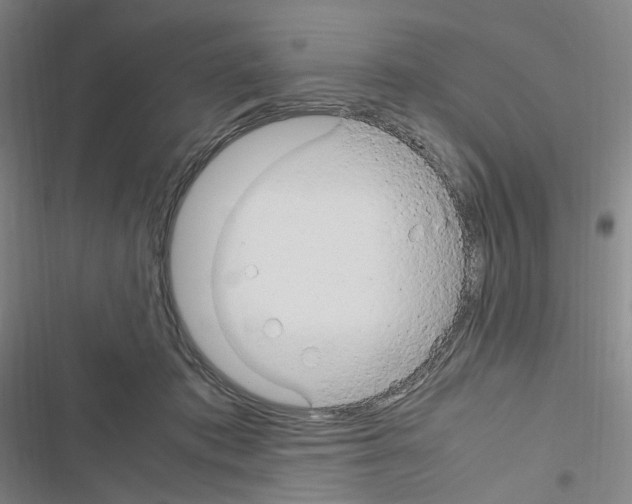 X0000116680413201001251304