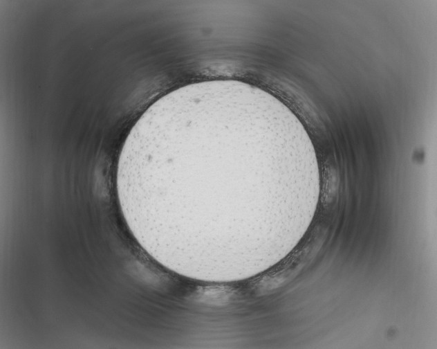 X0000116680414201001251304