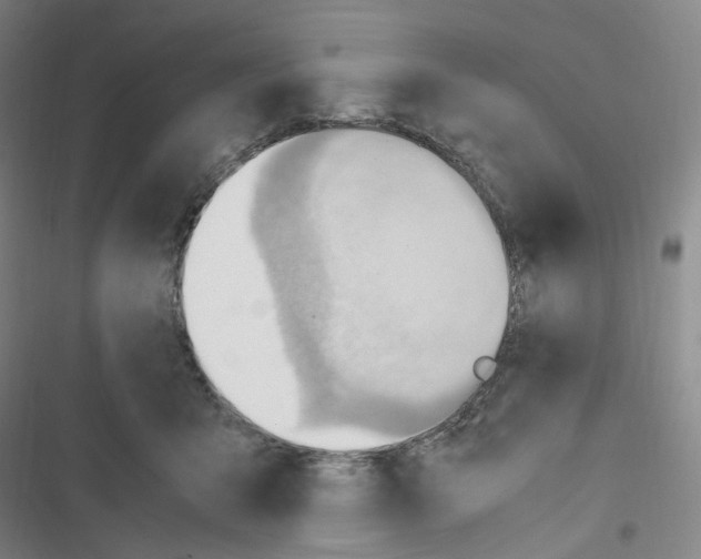 X0000116680415201001251304