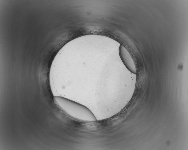 X0000116680417201001251304