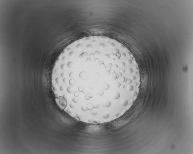 X0000116680418201001251304