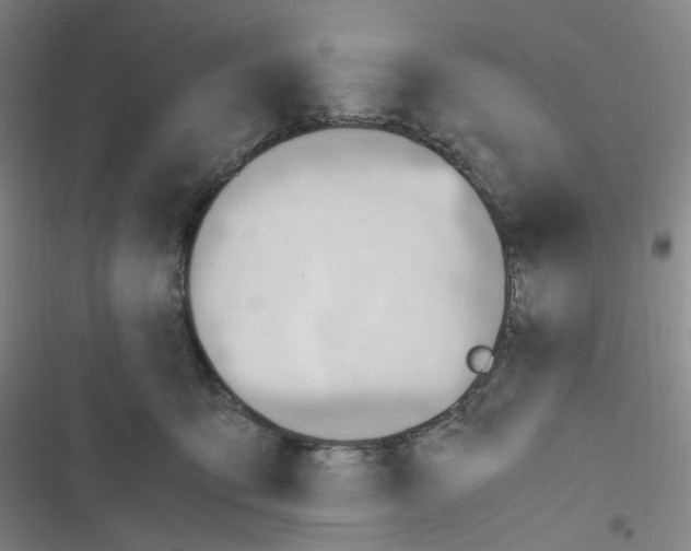 X0000116680419201001251304