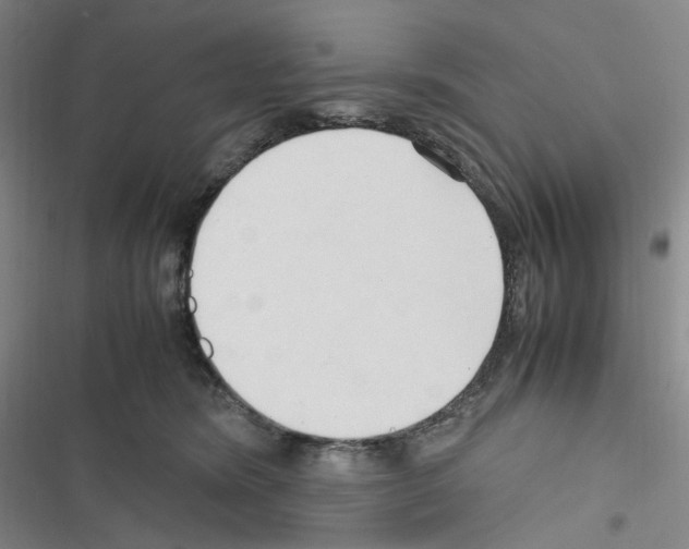 X0000116680420201001251304