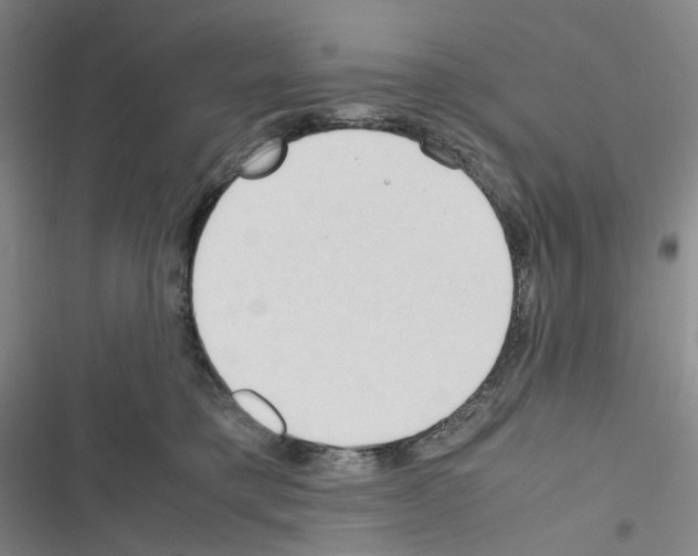 X0000116680421201001251304