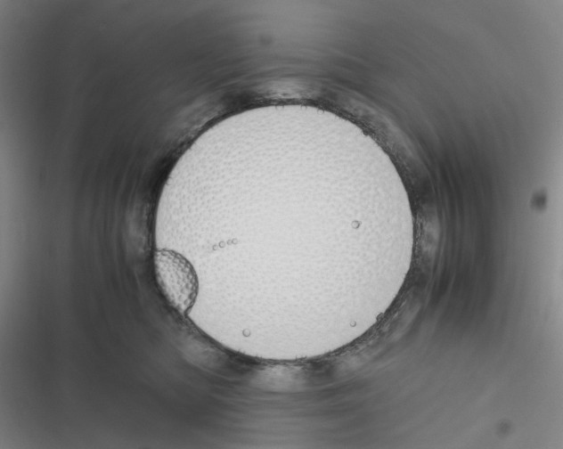 X0000116680422201001251304