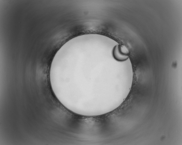 X0000116680423201001251304