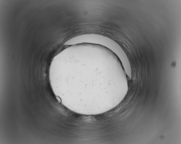 X0000116680424201001251304