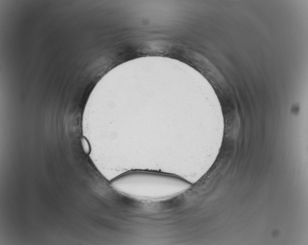 X0000116680425201001251304