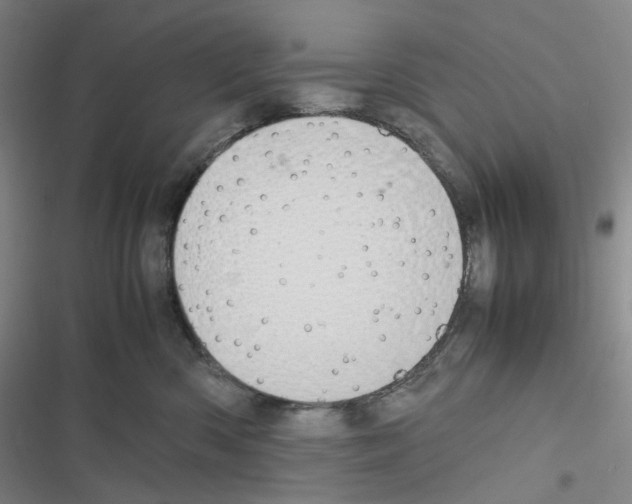 X0000116680426201001251304