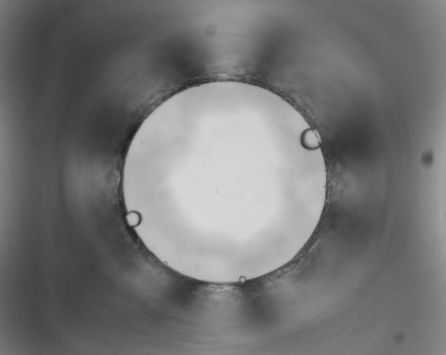 X0000116680427201001251304