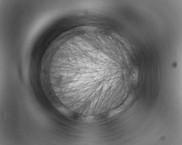 X0000116680430201001251304