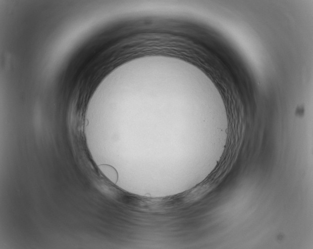 X0000116680431201001251304