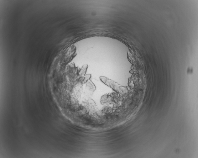 X0000116680432201001251304