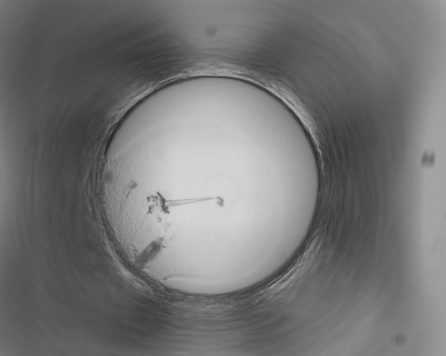 X0000116680433201001251303