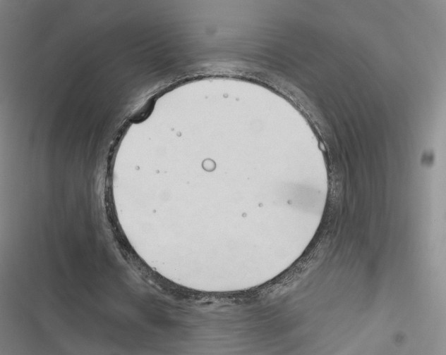 X0000116680434201001251303