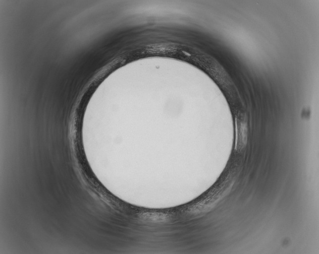 X0000116680435201001251303