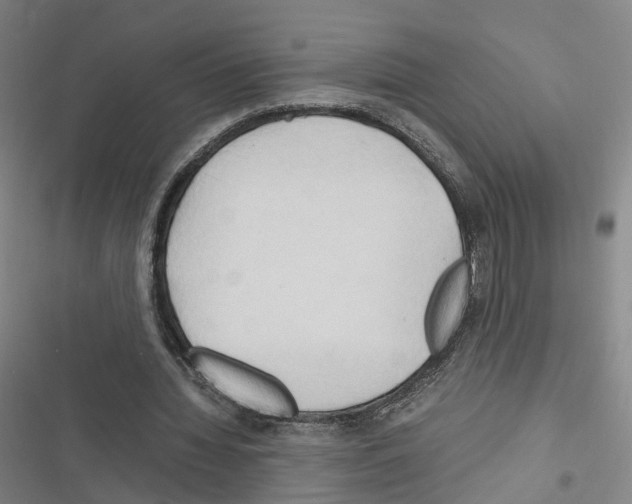 X0000116680436201001251303