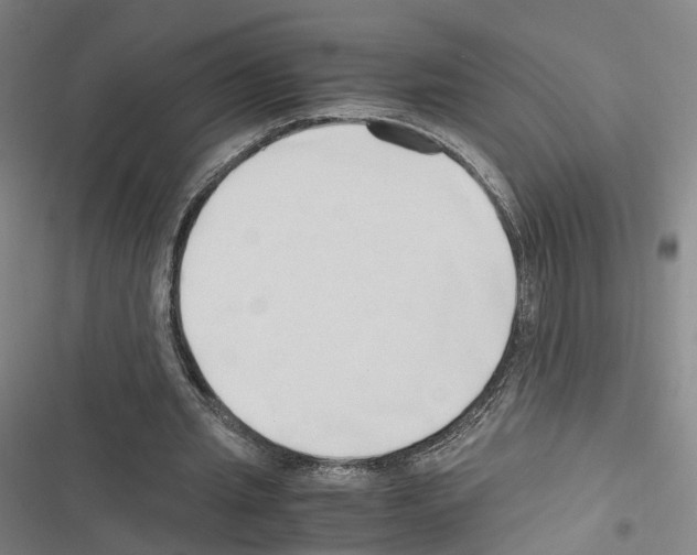 X0000116680437201001251303