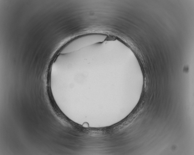 X0000116680438201001251303