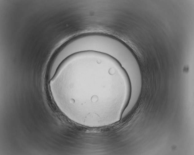 X0000116680440201001251303