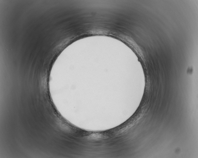 X0000116680441201001251303